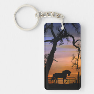 Porte-clefs Beau Porte - clé de cheval lunatique