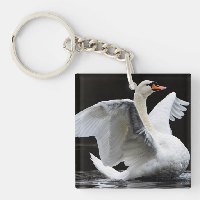 Porte-clefs Beau Swan (Devant)