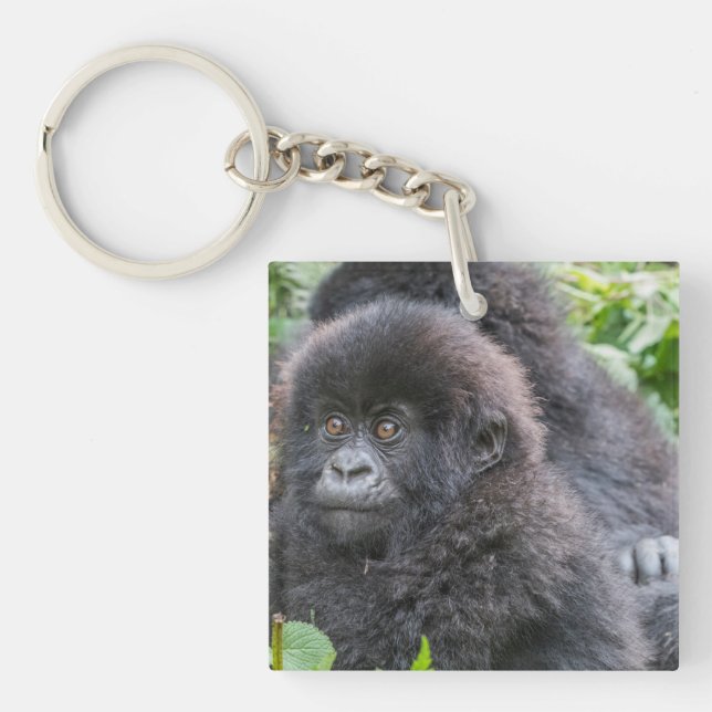 Porte-clefs Bébé gorille des montagnes (Devant)