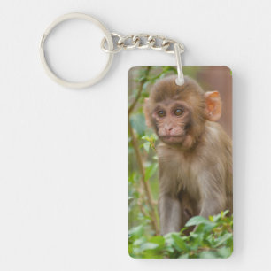 Porte-clefs Bébé Macaque Rhésus, Temple du Singe, Jaipur