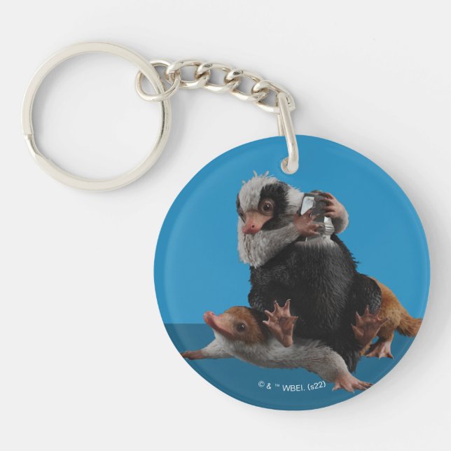 Porte-clefs Bébé Nifflers Trouve Un Prix (Devant)