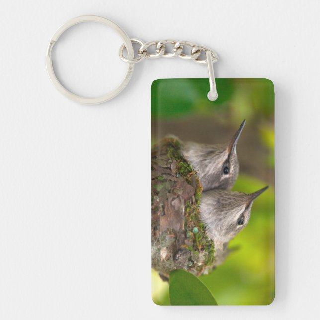 Porte-clefs Bébés colibris (Devant)