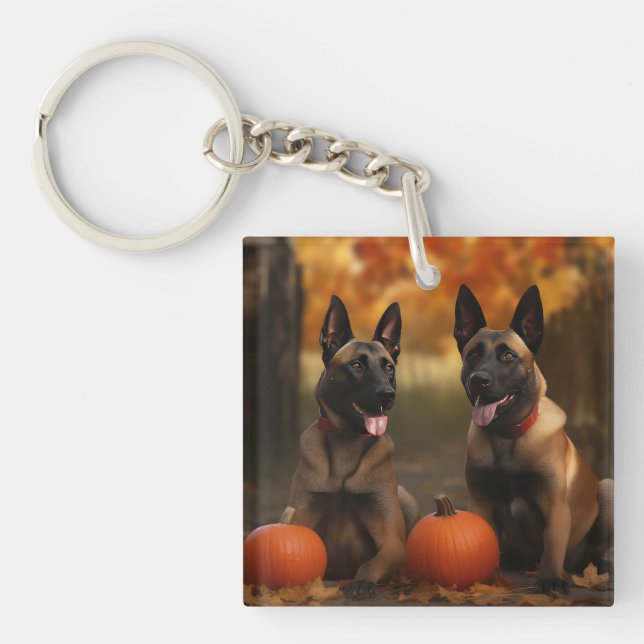 Porte-clefs Belge Malinoi Puppy Automne Citrouille de plaisir (Devant)