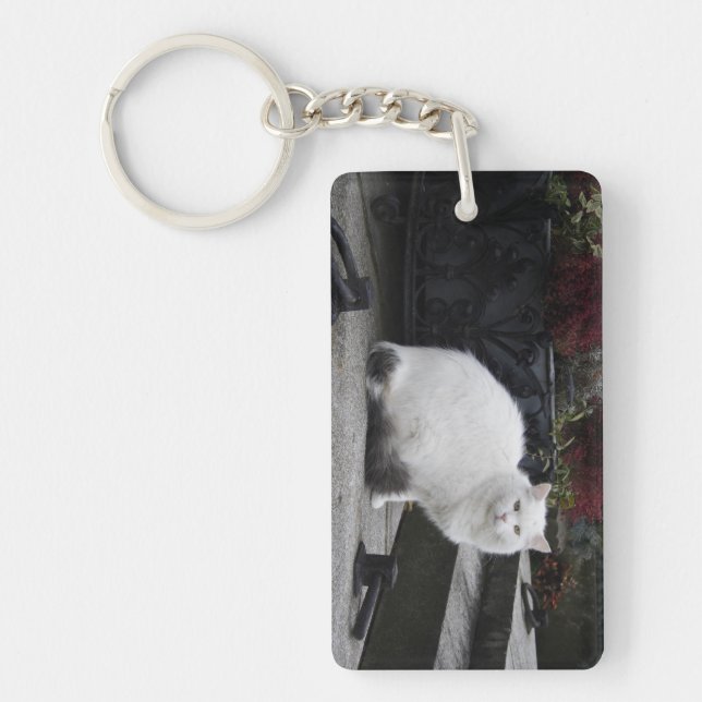 Porte-clefs Belle Chat Blanc Sur Une Grave (Devant)