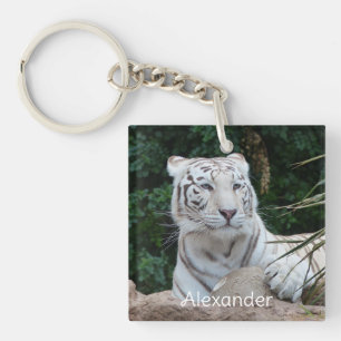 Porte-clefs Belle photo de tigre blanc du Bengale