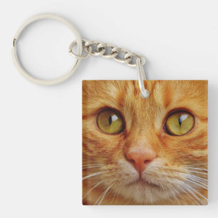 Porte-clefs Belle photo personnalisée de chat