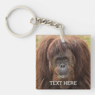 Porte-clefs Belle photographie de Borneo Orangutan
