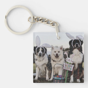 Porte-clefs Berger australien, Australien, Australien, Berger