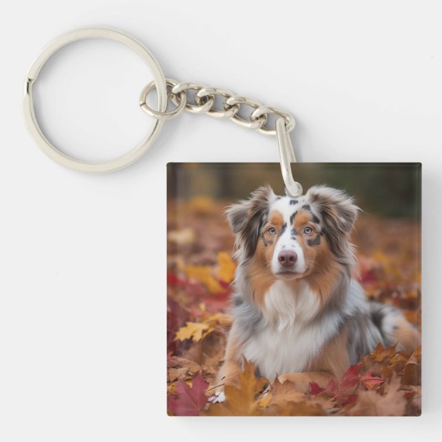 Porte-clefs Berger australien en automne Leaves automne Inspir (Devant)