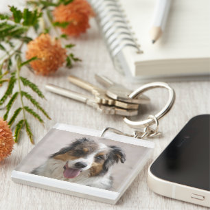 Porte-clefs berger australien merle