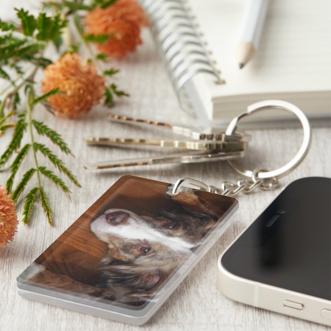 Porte-clefs berger australien merle rouge pondre plat (Devant droit)