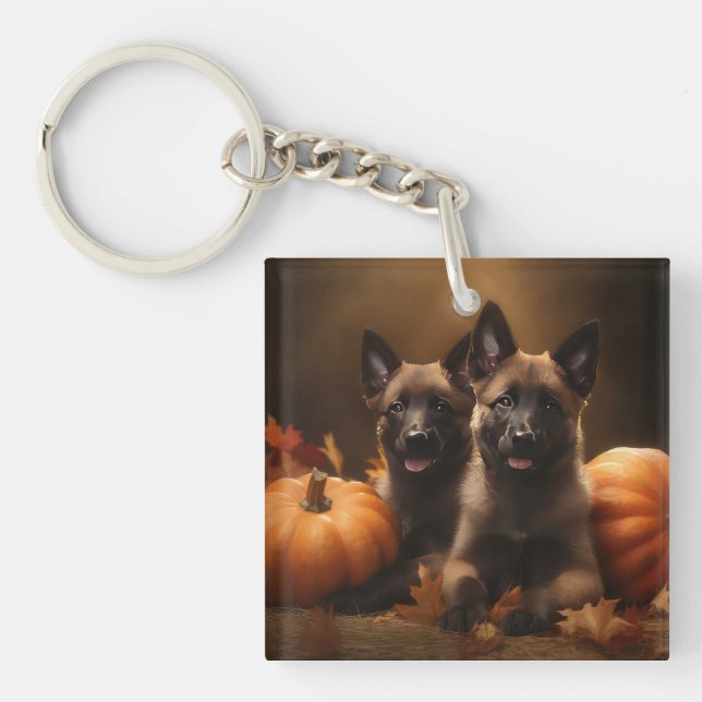 Porte-clefs Berger belge Chiot Automne Citrouille de plaisir (Devant)
