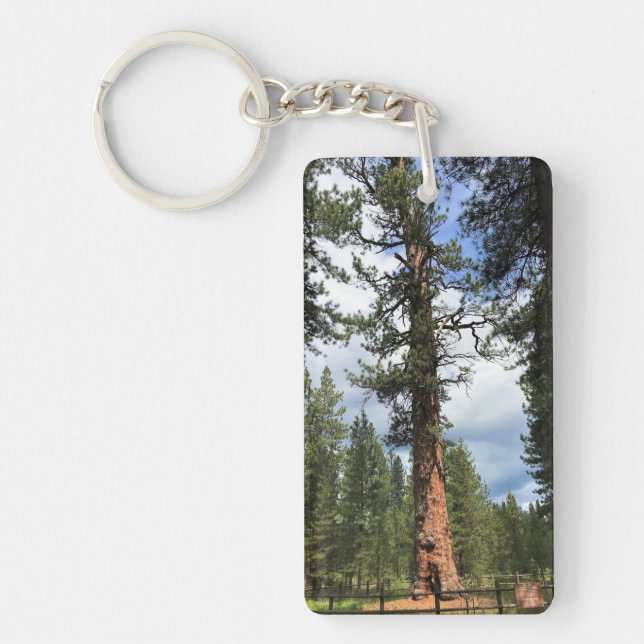 Porte-clefs Big Red Tree, La Pine, Oregon (Devant)