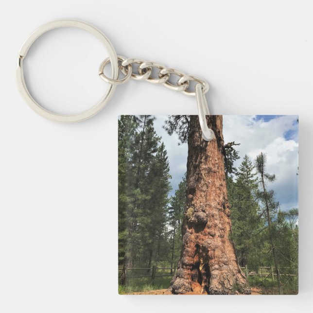 Porte-clefs Big Red Tree, La Pine, Oregon (Devant)