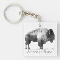 Bison américain