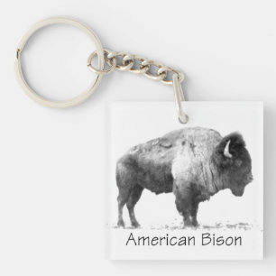 Porte-clefs Bison américain