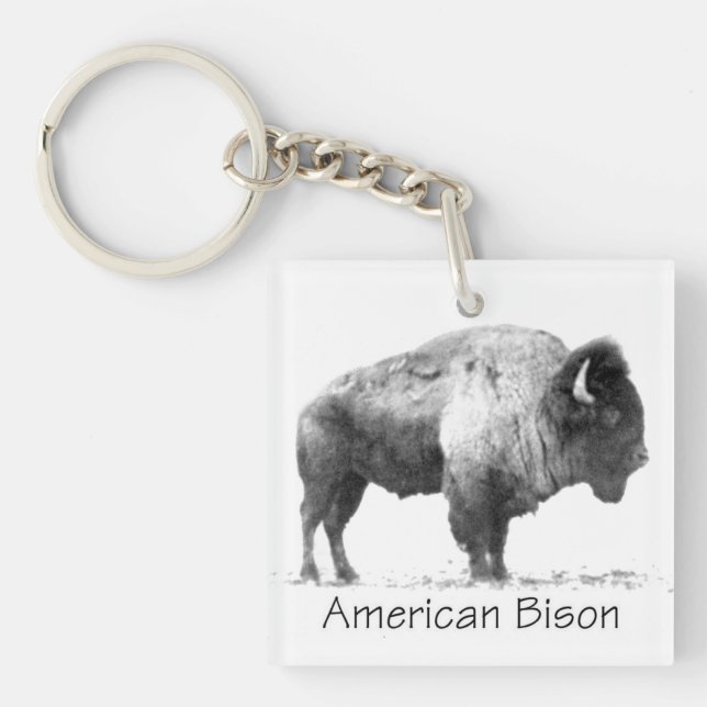 Porte-clefs Bison américain (Devant)