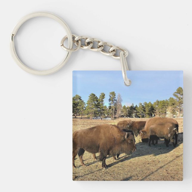 Porte-clefs Bison dans le Colorado (Devant)