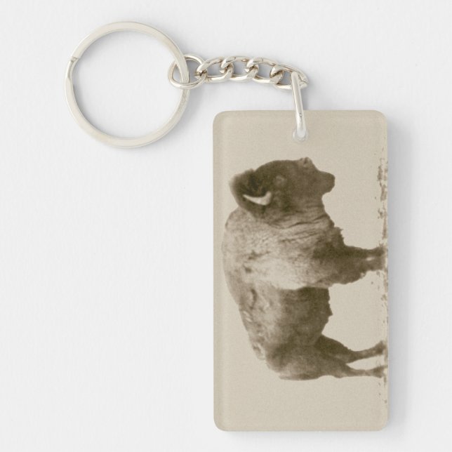 Porte-clefs Bison des plaines (Devant)