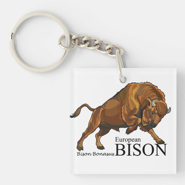 Porte-clefs bison européen (Devant)