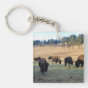 Porte-clefs Bisons dans le Colorado
