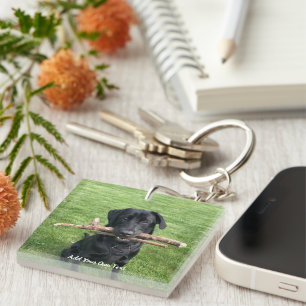 Porte-clefs Black Lab avec deux bâtons Photo et nom du chien