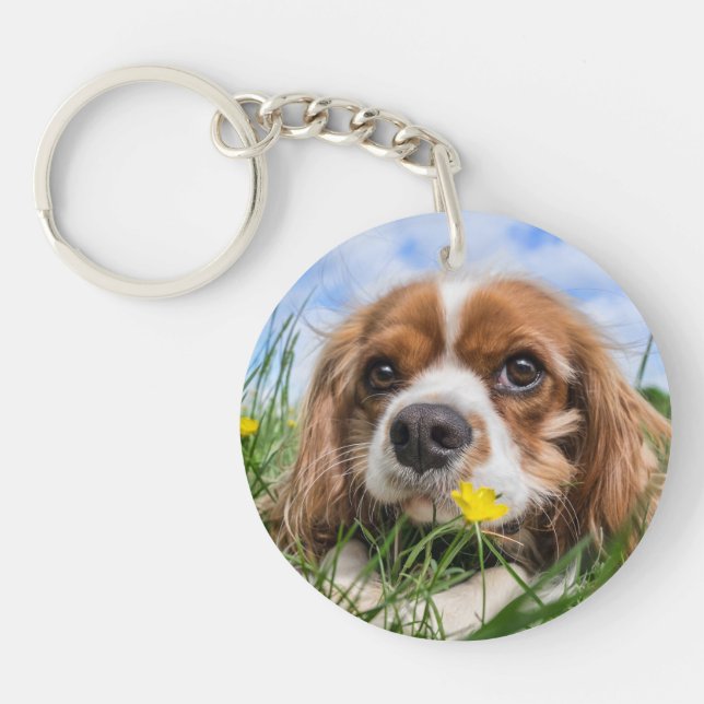 Porte-clefs Blenheim Cavalier King Charles Spaniel Chien Chien (Devant)