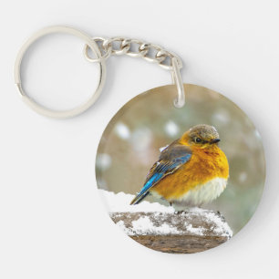 Porte-clefs Bleuet de l'Est en neige - Photo originale