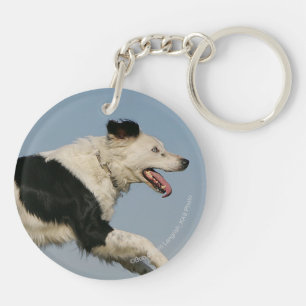 Porte-clefs Border collie courant 2