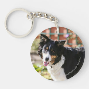 Porte-clefs Border collie haletant 1