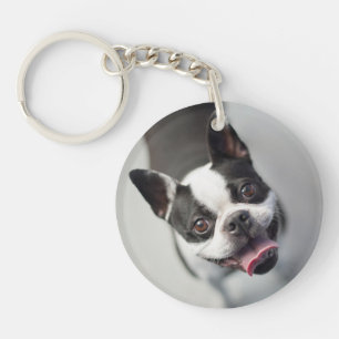 Porte-clefs Bouledogue français des images de Getty
