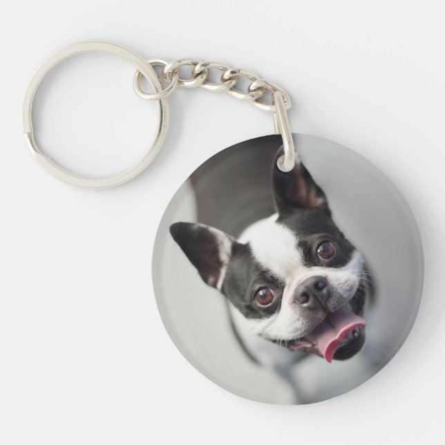 Porte-clefs Bouledogue français des images | de Getty (Devant)