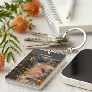 Porte-clefs Bouledogue français et Mastiff amis