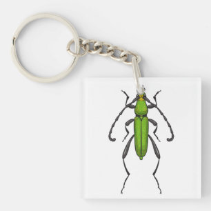 Porte-clefs Bousier vert