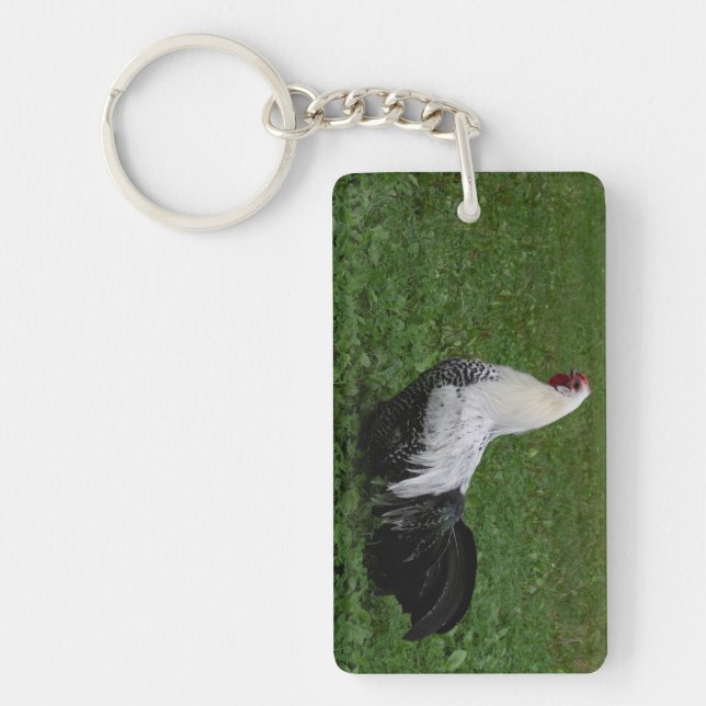 Porte-clefs Brakel Hahn (Devant)