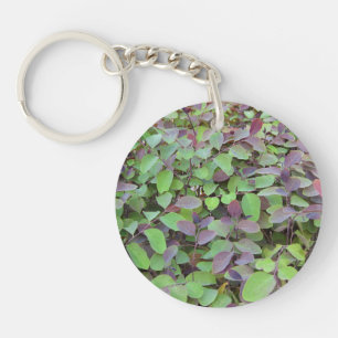 Porte-clefs Branches Feuilles rouges et vertes Photographie