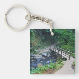Porte-clefs Bridge at Latourell Falls, Oregon