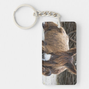Porte-clefs Brown Poitou Donkey