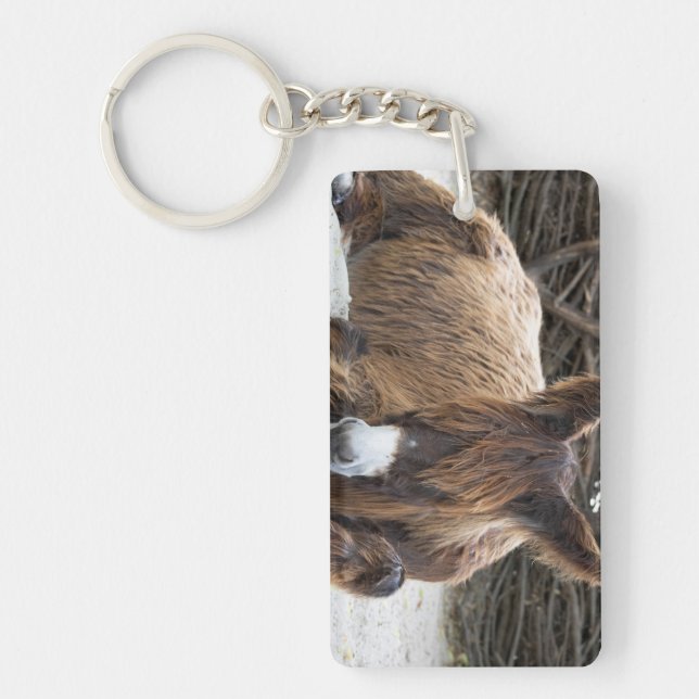 Porte-clefs Brown Poitou Donkey (Devant)