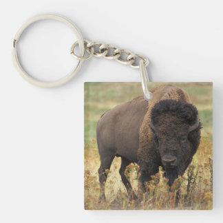Porte-clefs Buffalo