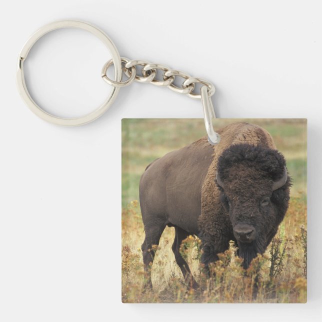 Porte-clefs Buffalo (Devant)