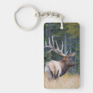 Porte-clefs Bull