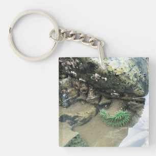 Porte-clefs Bullards Beach State Park, Bandon, Oregon