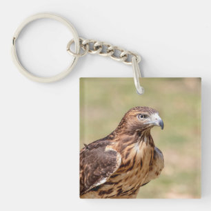 Porte-clefs Buse à queue rouge dans la vallée de l'Hudson