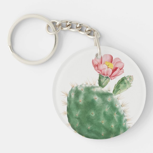 Porte-clefs Cactus Cochenillifer, Illustration Antique, 1799  (Devant)