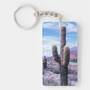 Porte-clefs Cactus dans la province de Jujuy - Nord de l'Argen