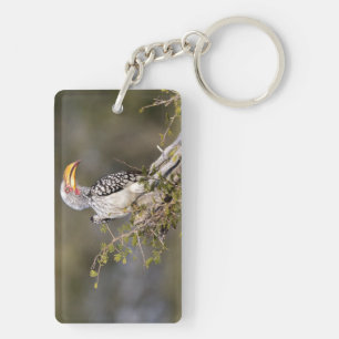 Porte-clefs Calamar à bec jaune
