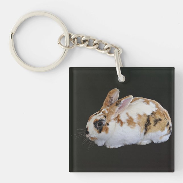 Porte-clefs Calico Rabbit (Devant)