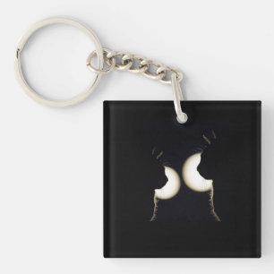 Porte-clefs Cambrioleurs Chats Repérés