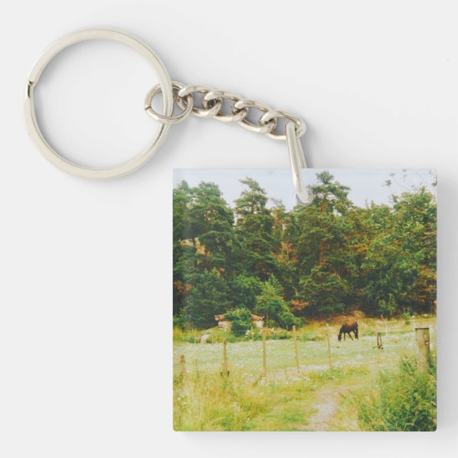 Porte-clefs Campagne suédoise (Devant)